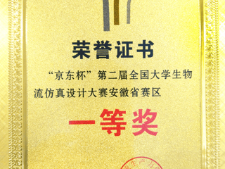 冰球官网学生在第二届全国大学生物流仿真设计大赛（安徽赛区）中喜获佳绩
