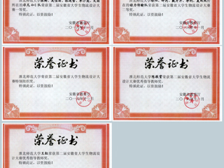 冰球官网学生在第二届安徽省大学生物流设计大赛中取得佳绩