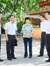 淮北市委书记肖超英一行来冰球官网调研环山东路建设
