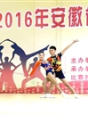 冰球官网健美操队在2016年安徽省大学生健美操比赛中喜获佳绩