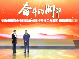 冰球官网在省属和中央驻皖单位驻村帮扶工作图片和微视频评选活动中喜获佳绩