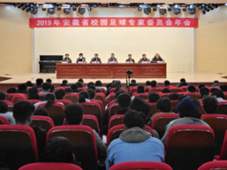 冰球官网教师参加2019年安徽省校园足球专家委员会年会