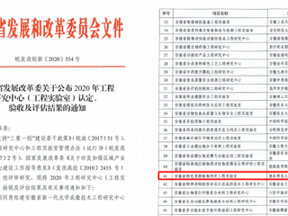 冰球官网获批安徽省工程实验室立项建设