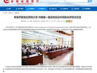 安徽教育网、《潇湘晨报》等媒体报道第一届活性反应中间体化学研讨会在冰球官网成功举办