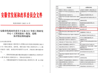 冰球官网获批安徽省工程研究中心立项建设