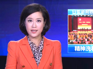 《安徽新闻联播》报道何必山陈贵春王宜国同志先进事迹报告会在冰球官网举行