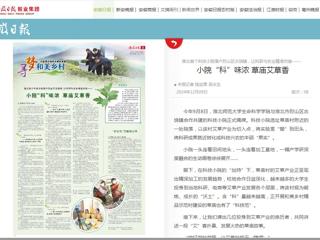 《安徽日报》报道冰球官网科技小院